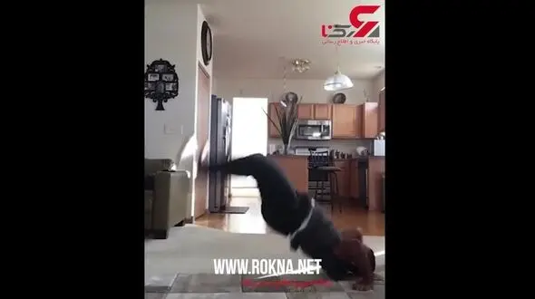 پسرچاق چه انعطاف عجیبی در ورزش خاص دارد+فیلم