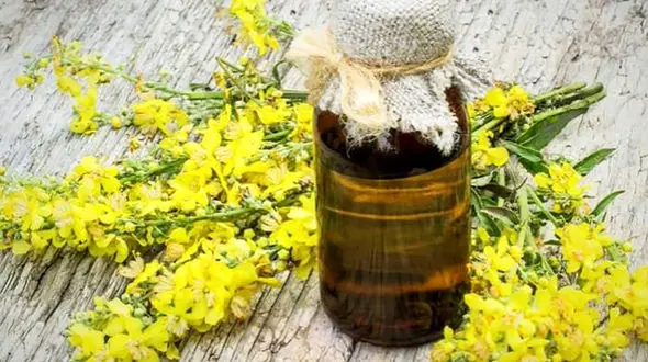 روغن خرگوشک ، تسکین دهنده سرفه و التهاب 