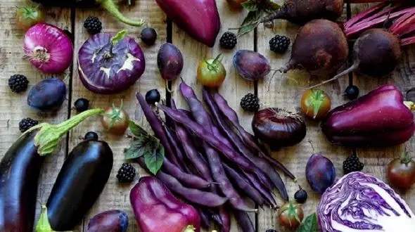 10 خوشمزه شاداب کننده  زندگی