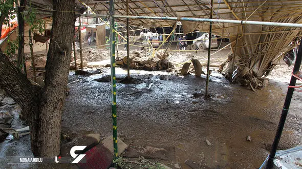 بارش شدید باران در امام زاده داود / آیا سیل می آید؟