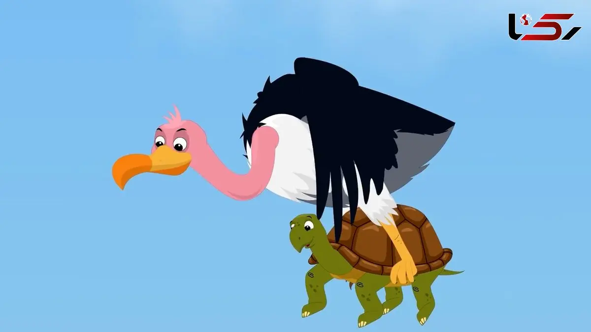 فیلم انیمیشن لاک پشت و کرکس