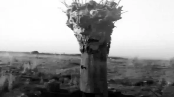 نقش عجیب درختان در جنگ جهانی اول که شاید ندانید +تصاویر
