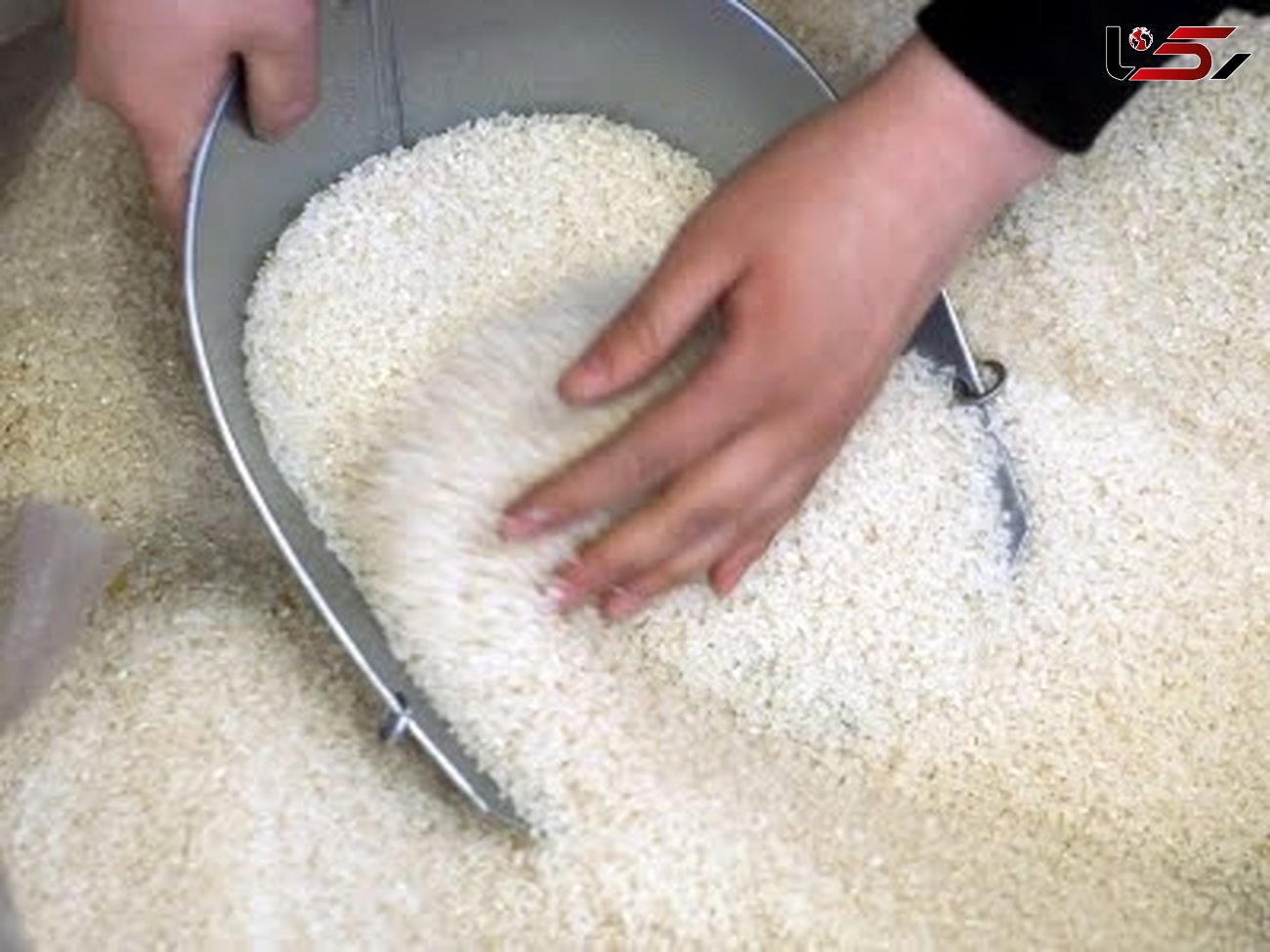 برنج با کیفیت مازندران در تهران با ناخالصی فروخته می‌شود