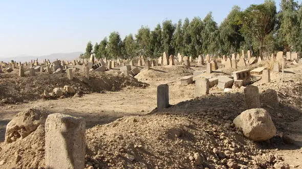 ملوس سلیمی، آخرین قربانی زلزله سرپل ذهاب تاکنون