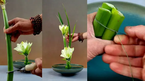  دیزاین گل در بشقاب / طراحی بی نظیر + فیلم 