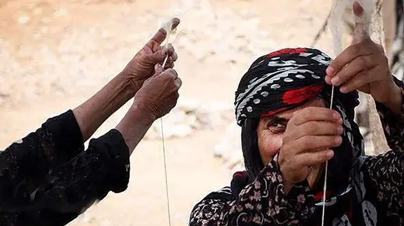 اینجا زن اگر بخواهد "نه" بگوید باید هزینه‌های سنگینی بپردازد / زیرساخت های اجتماعی و روانی دولتی کافی نیست