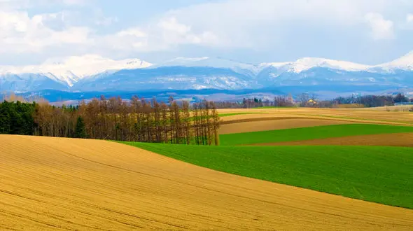 نمایی دیدنی از چشم انداز جاده ای رویایی +فیلم