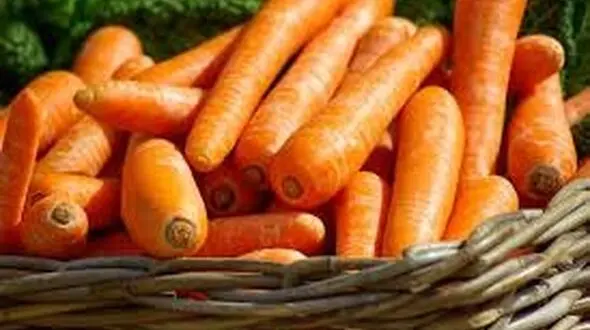  ۷ گیاهی که قبل از خوردن باید پخته شود
