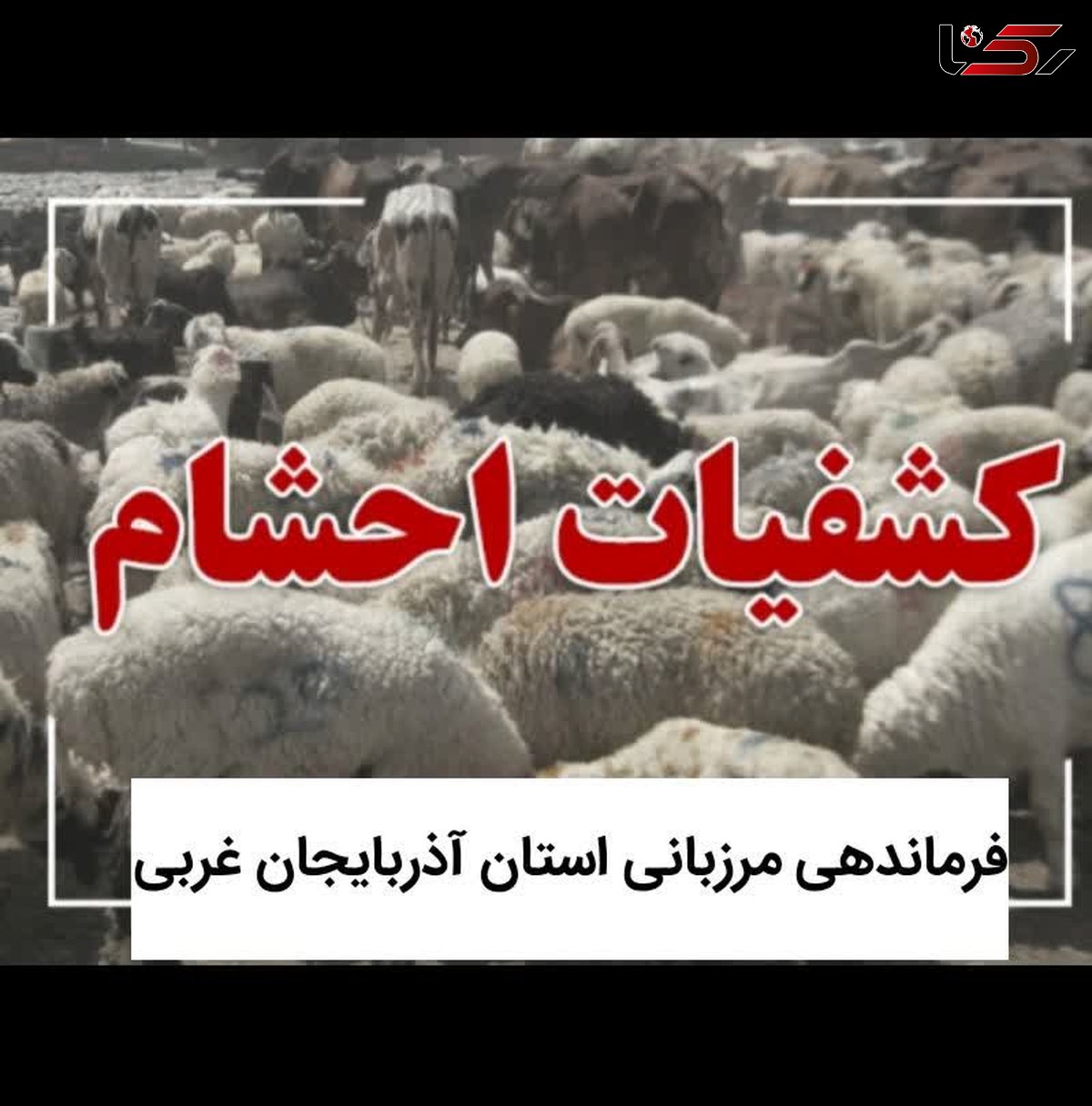 مرزداران در  کنترل نوار مرزی از هیچ تلاشی فروگذاری نخواهند کرد