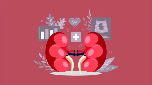 علائم عفونت کلیه در زنان چیست؟