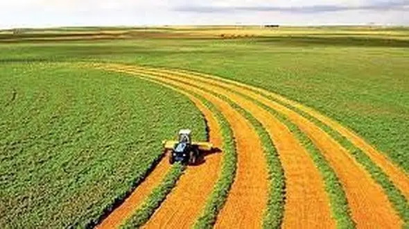 فرار به جلوی دولت در برخورد با فساد بزرگ ۱۳.۷میلیون تنی گندم،جو و روغن در وزارت جهاد / رئیس جمهور به جای برخورد با وزیر، یک مدیر میانی را برکنار کرد