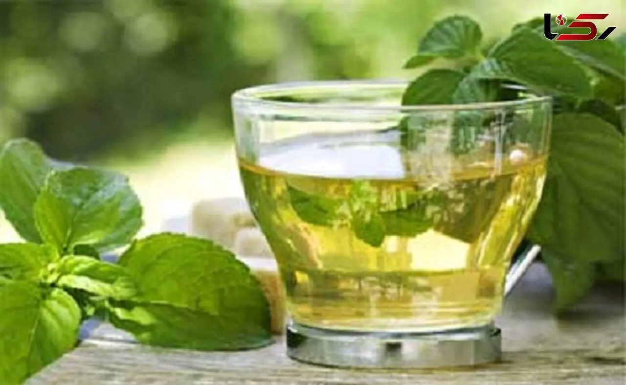 دم کرده های گیاهی ضد خستگی روزانه