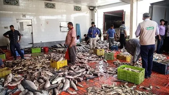 قیمت جدید انواع ماهی در بازار اعلام شد