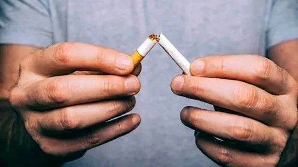 از بین بردن نیکوتین داخل بدن با مواد غذایی