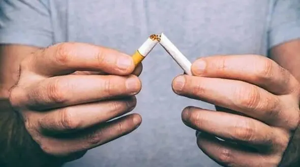 از بین بردن نیکوتین داخل بدن با مواد غذایی