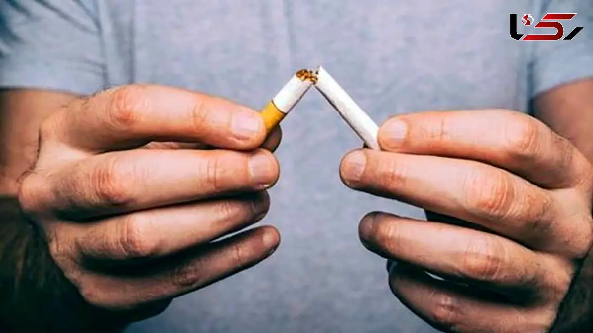 از بین بردن نیکوتین داخل بدن با مواد غذایی