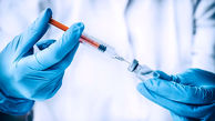 خبر امیدوارکننده از واکسن های ایرانی کرونا !