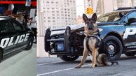 فورد از نخستین خودروی پلیس خود رونمایی کرد +عکس
