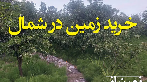 خرید زمین در شمال