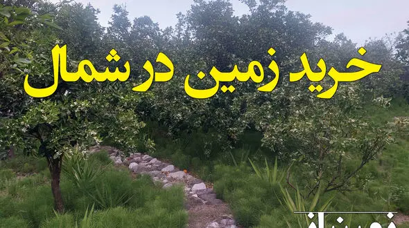 خرید زمین در شمال