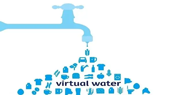شکست خوردن ایران در تجارت آب مجازی / کالاهای آب بر را بدون توجه به رد پای آب خاکستری صادر می کنیم