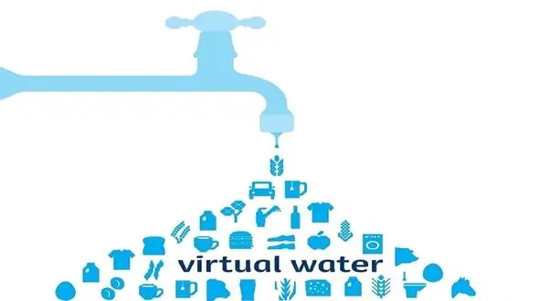 شکست خوردن ایران در تجارت آب مجازی / کالاهای آب بر را بدون توجه به رد پای آب خاکستری صادر می کنیم