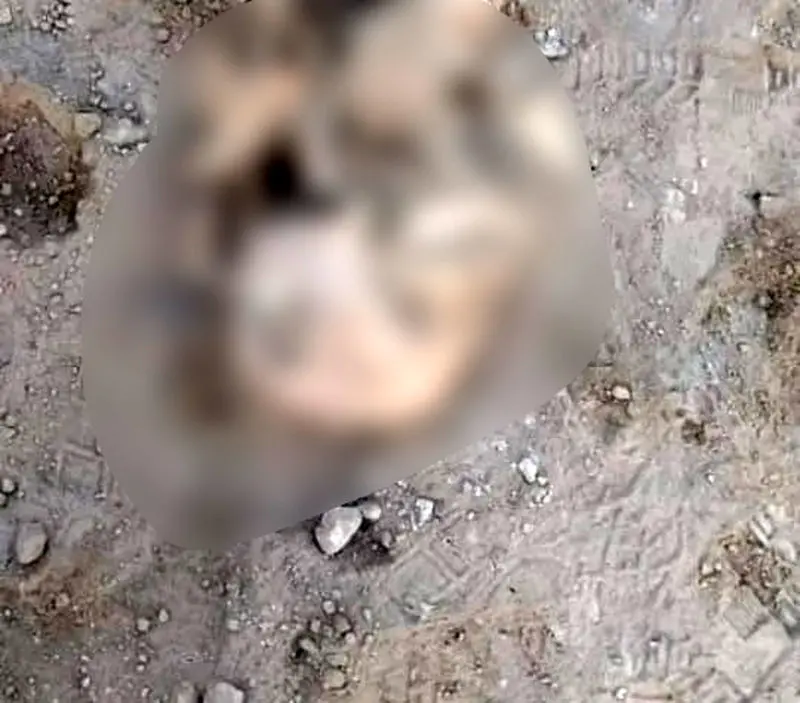 کشف خودرو و جسد مدفون‌شده