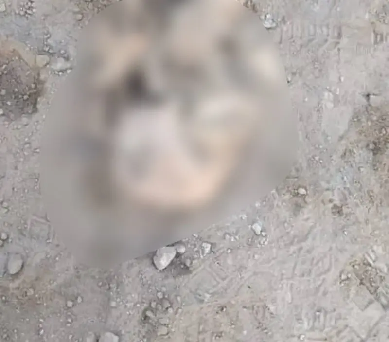 کشف خودرو و جسد مدفون‌شده