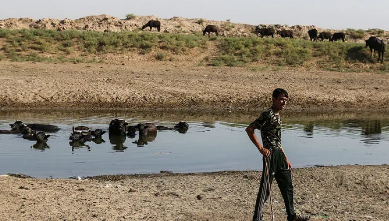 بالا آمدن فاضلاب در کوچه و خیابان های شهر رفیع در خوزستان / عضو شورای شهر رفیع: مردم هورالعظیم هم با آلودگی و بیماری دست و پنجه نرم می کنند، هم با نابودی معیشت و زیرساخت ها
