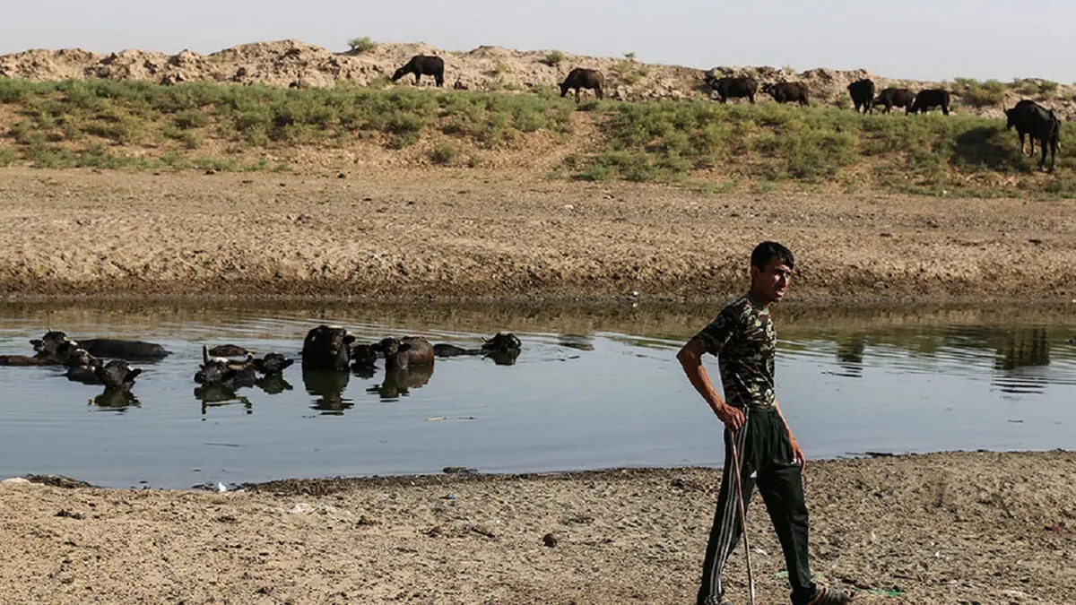 معاون رئیس محیط زیست کشور : سیاست وزارت نفت در مناطق نفت‌خیز باید اصلاح شود / ۱۵ هزار کیلومتر خط لوله نفت در خوزستان؛ سهم مردم از توسعه کجاست؟