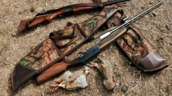 متخلفان محیط زیست دستگیر شدند / آنها مسلح بودند