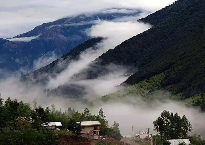 تصویر پوشش گیاهی ناتر