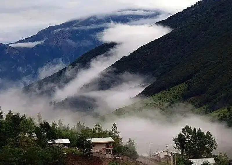تصویر پوشش گیاهی ناتر