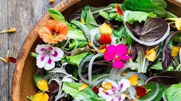 11 برگ گیاهی با خواص درمانی