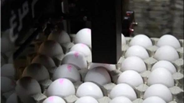 تخم‌مرغ شانه‌ای ۱۰ هزار و ۴۵۰ ، هردانه 450 تومان