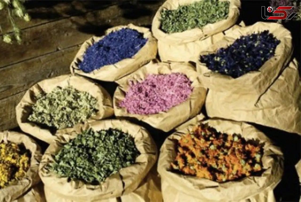 بازار کساد گیاهان دارویی ایران در جهان