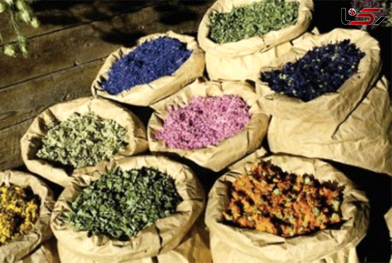 بازار کساد گیاهان دارویی ایران در جهان