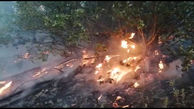 آتش سوزی در جنگل‌های ارسباران + فیلم