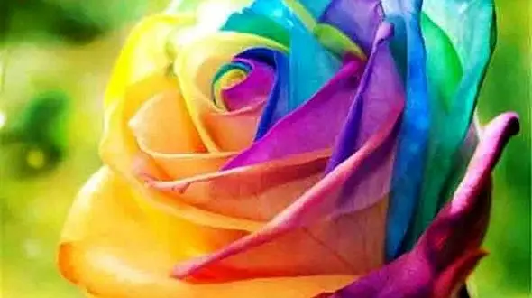 فال ابجد امروز / 2 اردیبهشت ماه + فیلم 