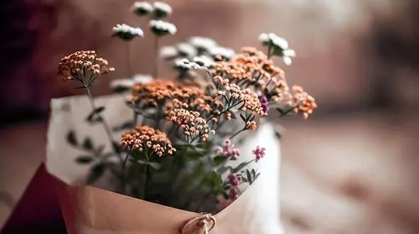 فال و طالع بینی روزانه 3 اسفند + فیلم 