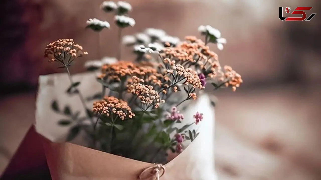 فال و طالع بینی روزانه 3 اسفند + فیلم 