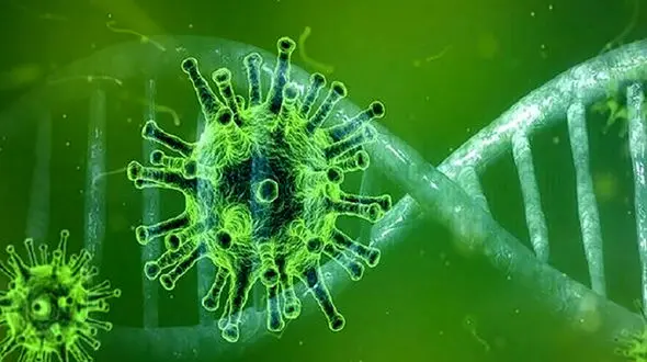 دارو درمان کرونا انگلیسی کشف شد