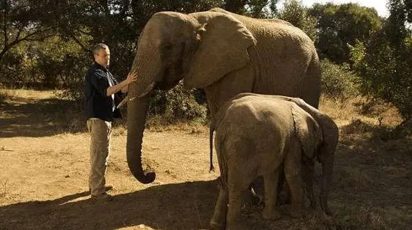 مردشناگر زیر پاهای فیل له شد + عکس