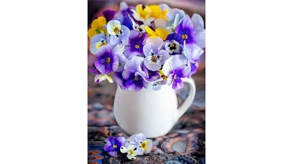 فال ابجد 26 اردیبهشت + فیلم