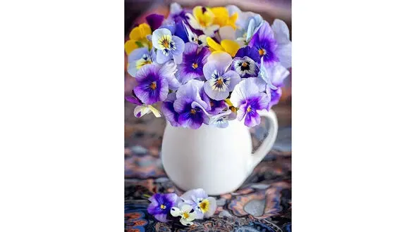 فال ابجد 26 اردیبهشت + فیلم