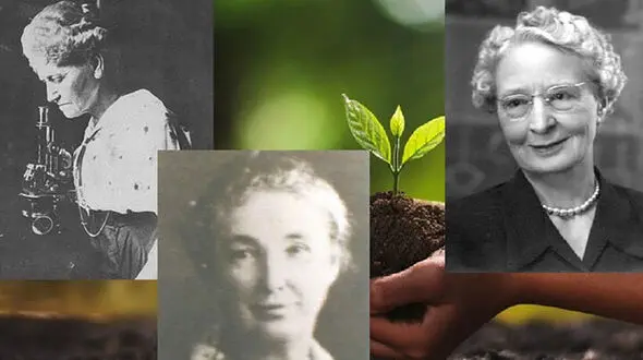 این 3 زن ناجی گیاهان هستند / عکس