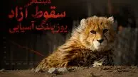 کالبدشکافی سقوط آزاد یوزپلنگ آسیایی / ۲۷ جان در برابر بی‌تدبیری دستگاه ها/ وقتی جاده‌ها، گله‌های غیرمجاز، شترها و خاک‌خوری اعتبارات آخرین سنگر تنوع زیستی را می‌ بلعند