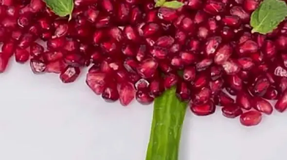 تزئین انار شب یلدا / فیلم