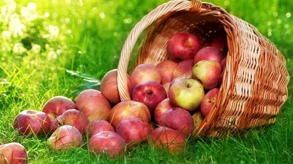 سیب و سفیدی دندان ها