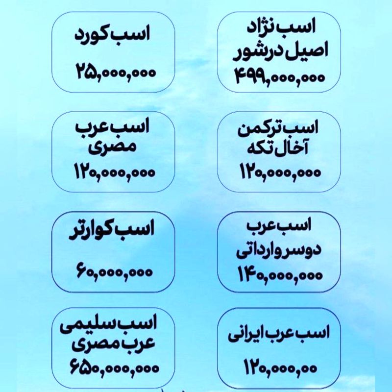 قیمت اسب